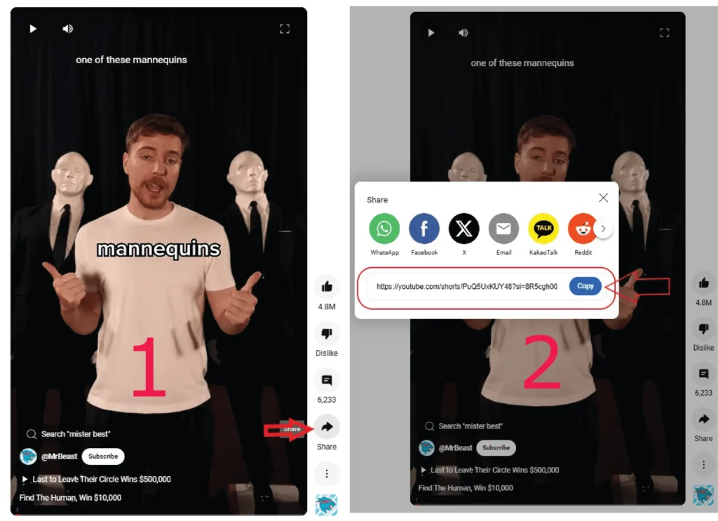 Step 1: Find the Short-Free YouTube Shorts Video Downloader